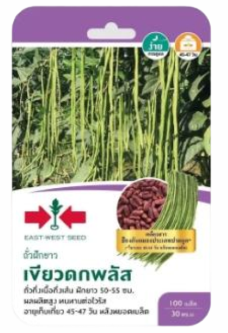 ถั่วฝักยาวเขียวดกพลัสOPศรแดงGG*300